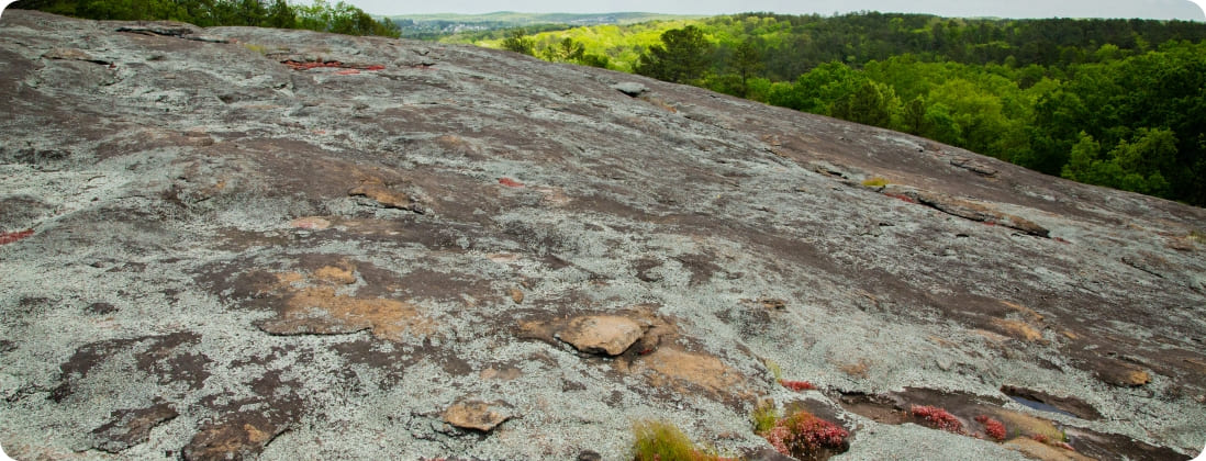 Panola Mountain State Park