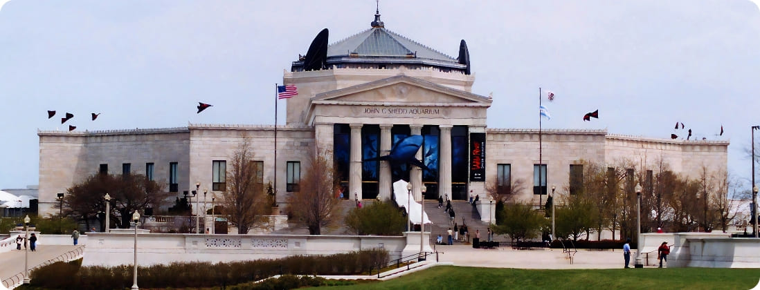 Field Museum