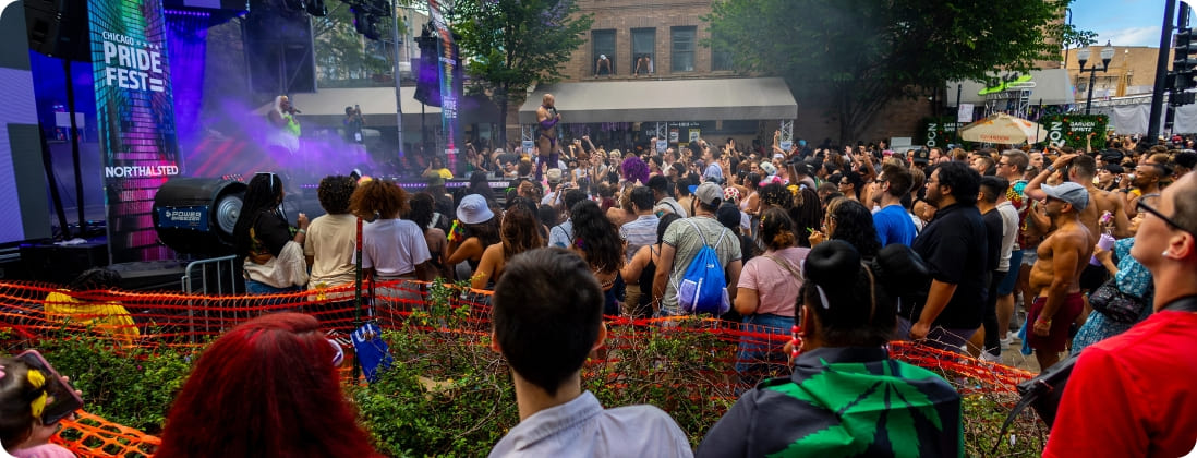 The Chicago Blues Festival