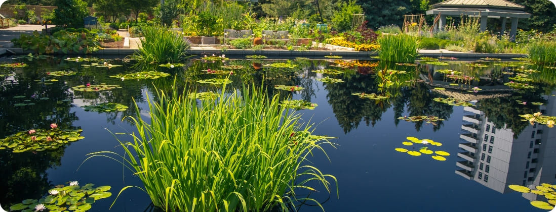 The iconic Denver Botanic Gardens