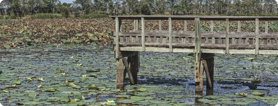 Brazos Bend State Park