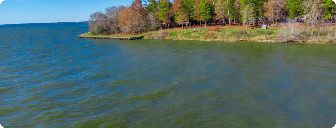 Lake Livingston State Park